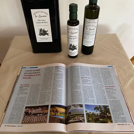La Luciana Farm stay Castiglione della Pescaia