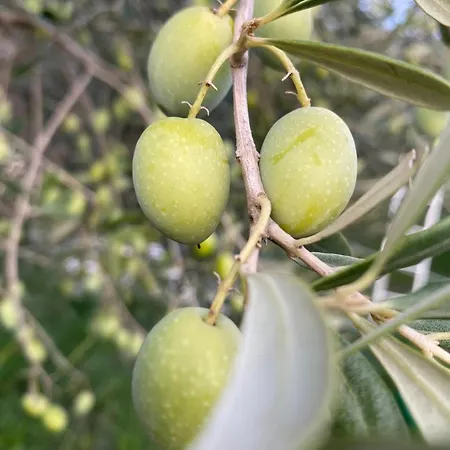 בית חווה La Luciana